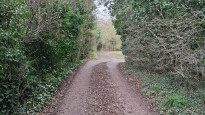 Photo by Norfolk Walker
