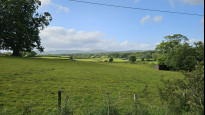 Photo by Wellchoughed