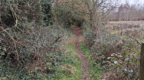 Photo by Norfolk Walker