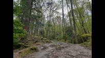 Photo by Hiking Historian