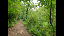 Photo by Hiking Historian