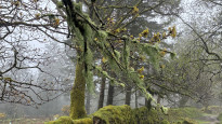 Photo by John Scott