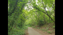 Photo by Hiking Historian