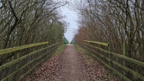 Photo by Norfolk Walker