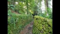Photo by Hiking Historian