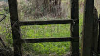 Photo by Kerry Litten