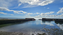 Photo by David Jackson