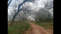 Photo by Hiking Historian