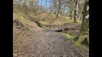 Photo by Wellchoughed