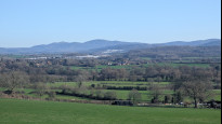 Photo by Ledbury Dan