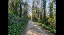 Photo by Hiking Historian