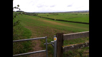 Photo by Mockymock