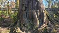 Photo by Hiking Historian