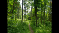 Photo by Hiking Historian