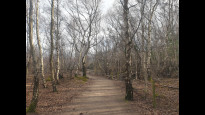 Photo by Hiking Historian