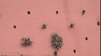 Photo by Danravenellison