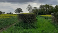 Photo by DBSevern