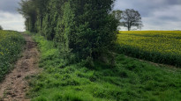 Photo by DBSevern