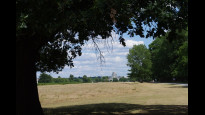 Photo by JohnMyerson