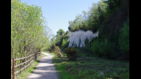 Photo by JohnMyerson