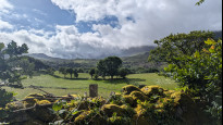 Photo by Neil Summersgill