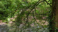 Photo by U010101