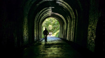 Photo by Danravenellison