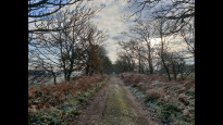 Photo by Hiking Historian