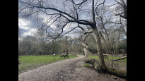 Photo by Jane Taylor