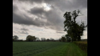 Photo by DBSevern