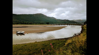 Photo by Neil Summersgill