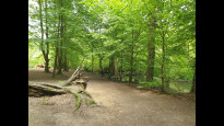 Photo by Hiking Historian