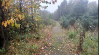 Photo by Hugh Hudson