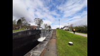 Photo by Mary Oz
