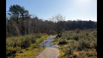 Photo by Hiking Historian