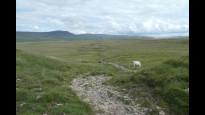 Photo by Yorkie Christine