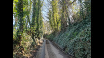 Photo by Hiking Historian