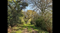 Photo by Hiking Historian