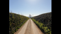 Photo by Hiking Historian
