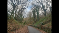 Photo by Hiking Historian