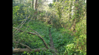 Photo by Hiking Historian
