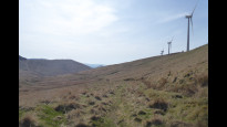 Photo by F Berry