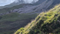Photo by Neil Summersgill