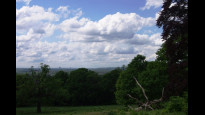 Photo by JohnMyerson
