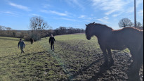 Photo by Ledbury Dan