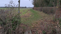 Photo by Norfolk Walker