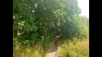 Photo by Hiking Historian