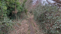 Photo by Norfolk Walker