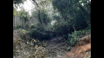 Photo by DBSevern