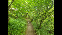 Photo by Hiking Historian